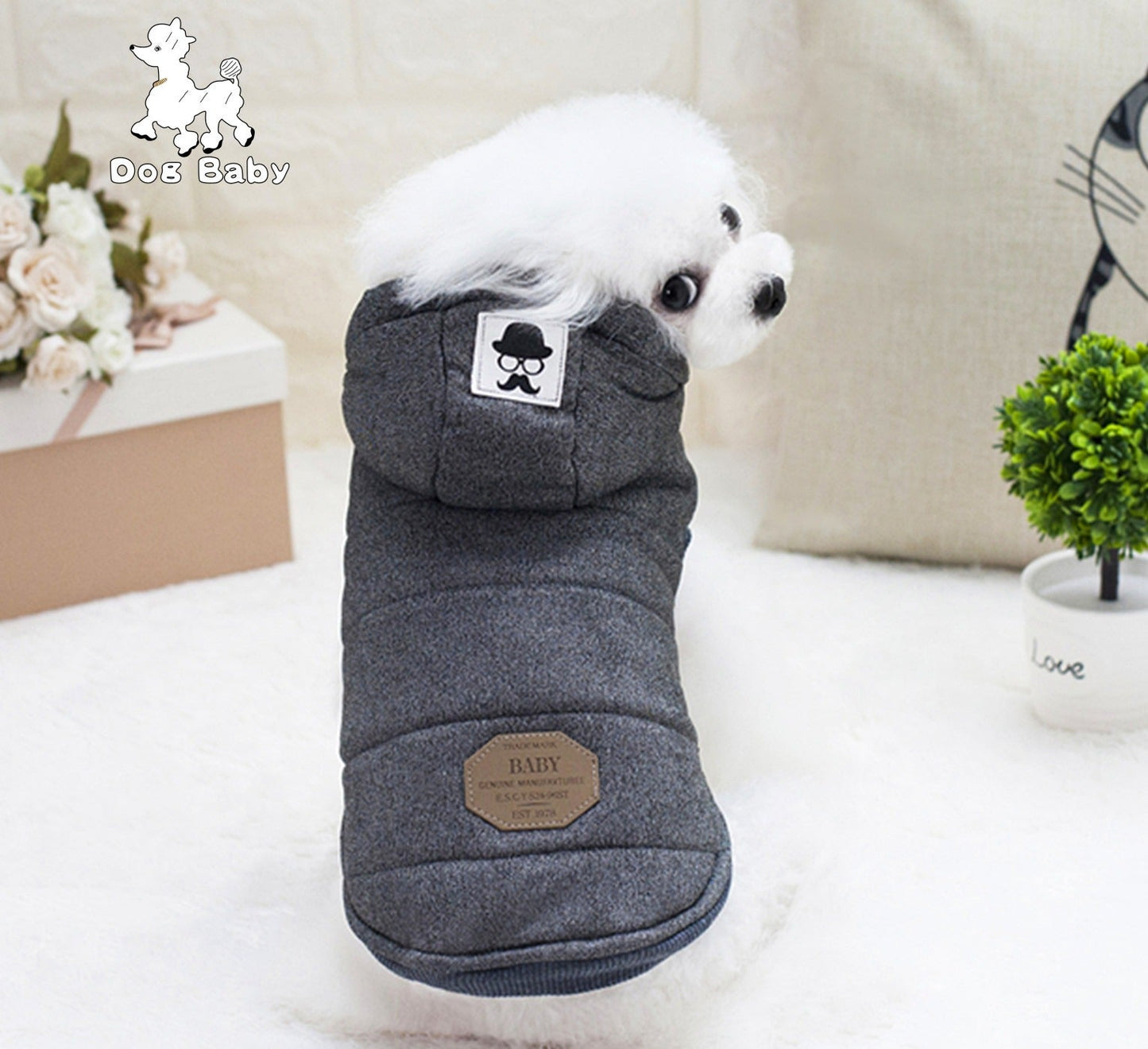 Pet Clothes Dog Clothes Autumn And Winter New Teddy Dog Pet Clothing Two Feet Cotton Clothes - 𝐝𝐮𝐯𝐥𝐚𝐬𝐡𝐨𝐩.𝐜𝐨𝐦