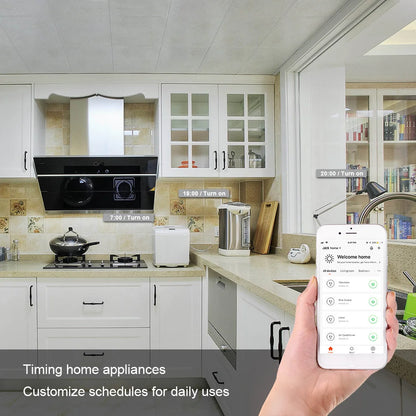 SmartControl WiFi Plug: Remote, Voice & Energy Monitoring