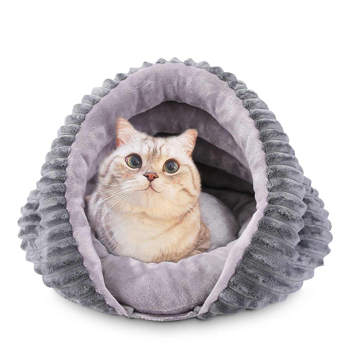 Conch Cat's Nest Creative Pet Dog's Nest Bed Small Dog Half Enclosed Removable and Washable Warm in Winter - 𝐝𝐮𝐯𝐥𝐚𝐬𝐡𝐨𝐩.𝐜𝐨𝐦