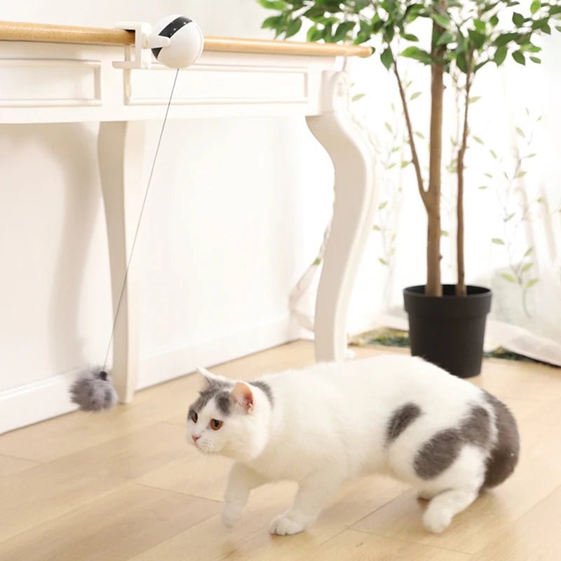 Electric Automatic Lifting Cat Ball Toy Interactive Puzzle Smart Pet Cat Ball Teaser Toys Pet Supply Lifting Balls Electric - 𝐝𝐮𝐯𝐥𝐚𝐬𝐡𝐨𝐩.𝐜𝐨𝐦
