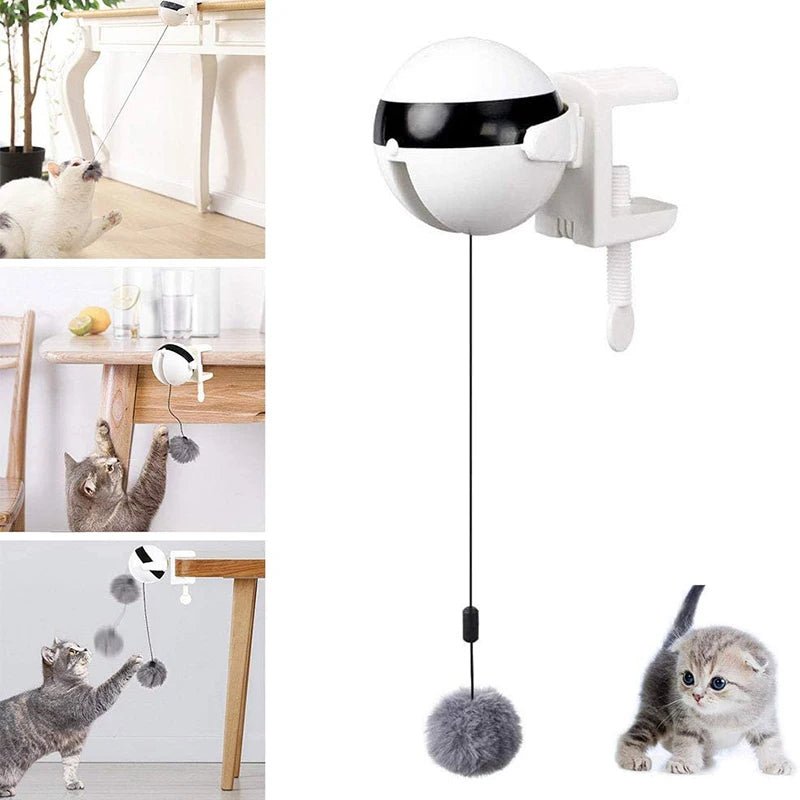 Electric Automatic Lifting Cat Ball Toy Interactive Puzzle Smart Pet Cat Ball Teaser Toys Pet Supply Lifting Balls Electric - 𝐝𝐮𝐯𝐥𝐚𝐬𝐡𝐨𝐩.𝐜𝐨𝐦