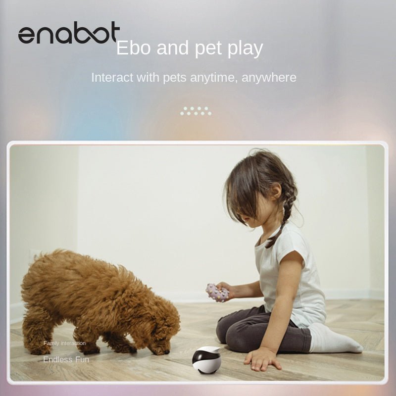 Enabot Whole House Mobile Camera Wireless Monitor Ebo Robot Home Smart Walking Electronic Pet - 𝐝𝐮𝐯𝐥𝐚𝐬𝐡𝐨𝐩.𝐜𝐨𝐦