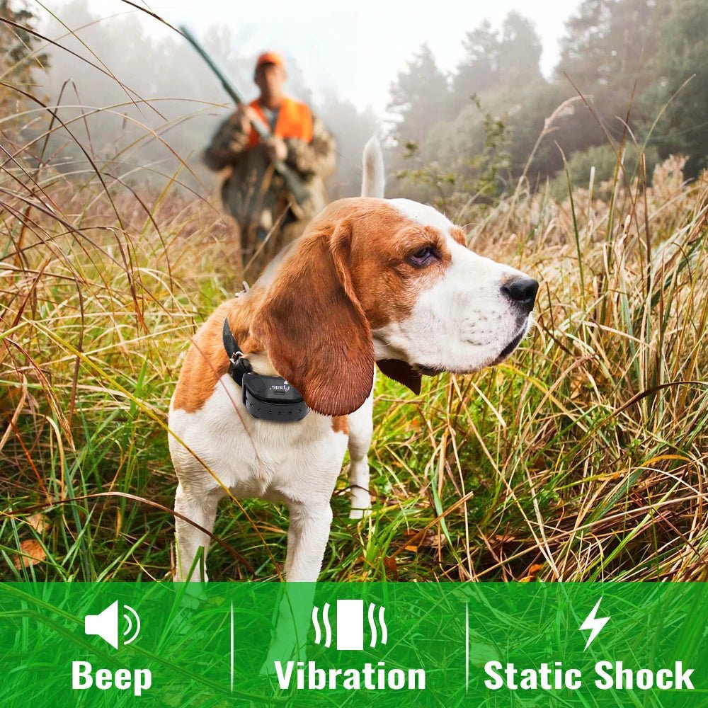 Ipets 618 - 1 New arrival! Dog shock collar bright color Remote 800M Waterproof and Rechargeable electric collar for dogs - 𝐝𝐮𝐯𝐥𝐚𝐬𝐡𝐨𝐩.𝐜𝐨𝐦