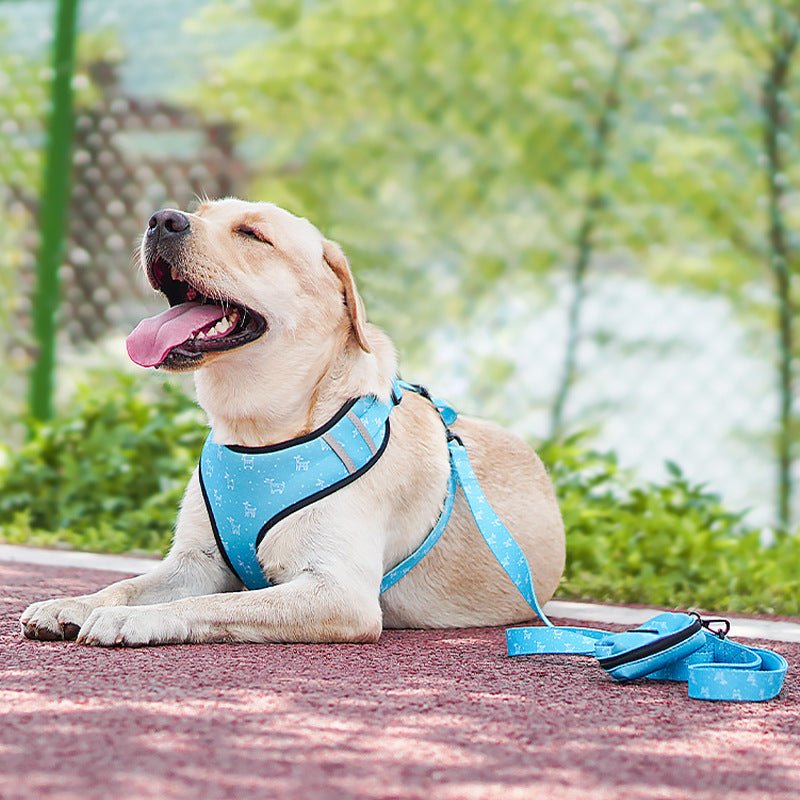Printed Six - Piece Pet Supplies Comfortable Polyester Dog Strap With Double - Sided Printing Dog Chest Strap - 𝐝𝐮𝐯𝐥𝐚𝐬𝐡𝐨𝐩.𝐜𝐨𝐦